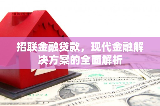 宁晋招联金融贷款，现代金融解决方案的全面解析