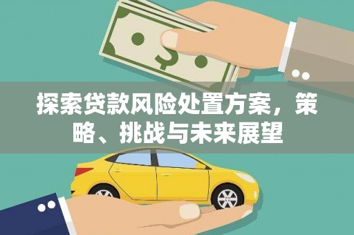 宁晋探索贷款风险处置方案，策略、挑战与未来展望