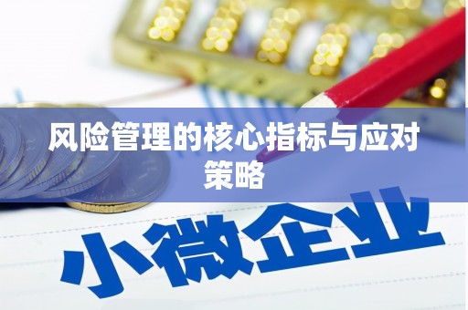 宁晋风险管理的核心指标与应对策略