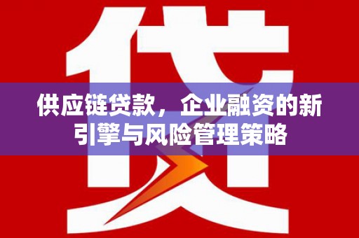 宁晋供应链贷款，企业融资的新引擎与风险管理策略