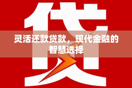 宁晋灵活还款贷款，现代金融的智慧选择