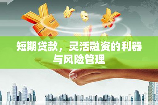 宁晋短期贷款，灵活融资的利器与风险管理