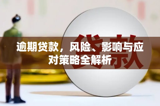 宁晋逾期贷款，风险、影响与应对策略全解析
