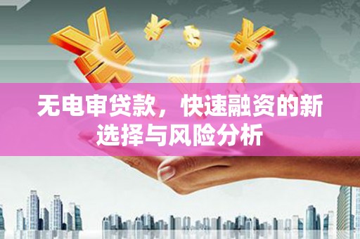 宁晋无电审贷款，快速融资的新选择与风险分析