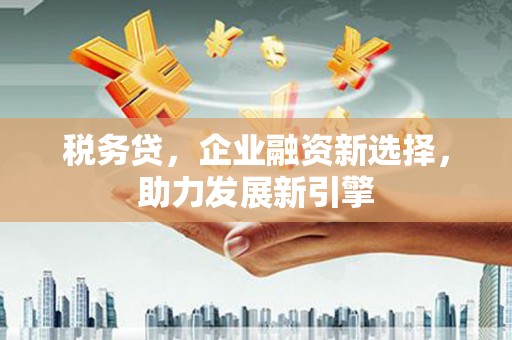 宁晋税务贷，企业融资新选择，助力发展新引擎