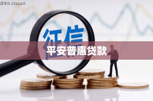 宁晋平安普惠贷款