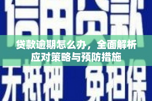 宁晋贷款逾期怎么办，全面解析应对策略与预防措施