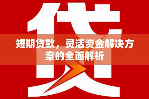 宁晋短期贷款，灵活资金解决方案的全面解析