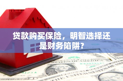 宁晋贷款购买保险，明智选择还是财务陷阱？