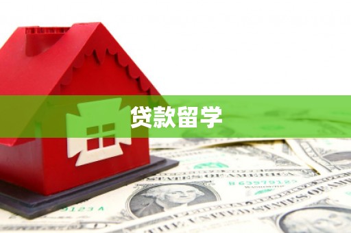 宁晋贷款留学