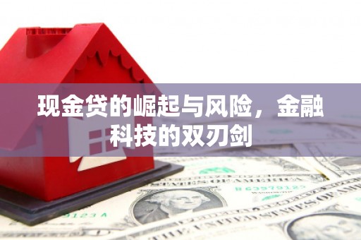 宁晋现金贷的崛起与风险，金融科技的双刃剑