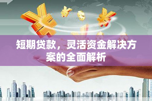 宁晋短期贷款，灵活资金解决方案的全面解析