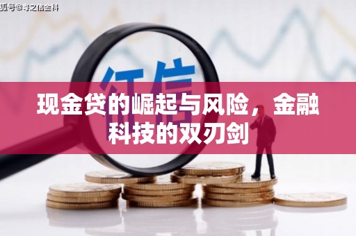 宁晋现金贷的崛起与风险，金融科技的双刃剑