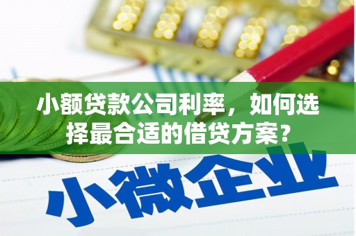 宁晋小额贷款公司利率，如何选择最合适的借贷方案？