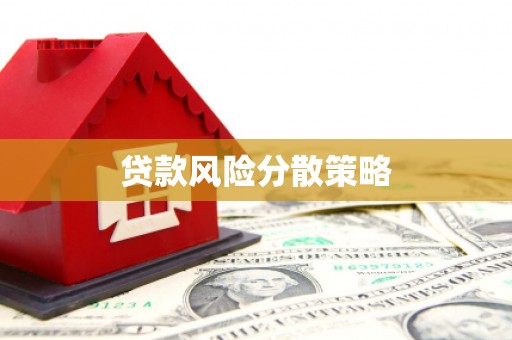 宁晋贷款风险分散策略