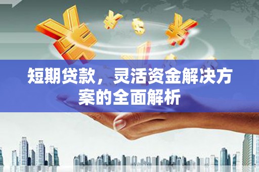 宁晋短期贷款，灵活资金解决方案的全面解析