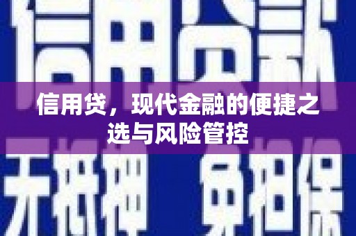 宁晋信用贷，现代金融的便捷之选与风险管控