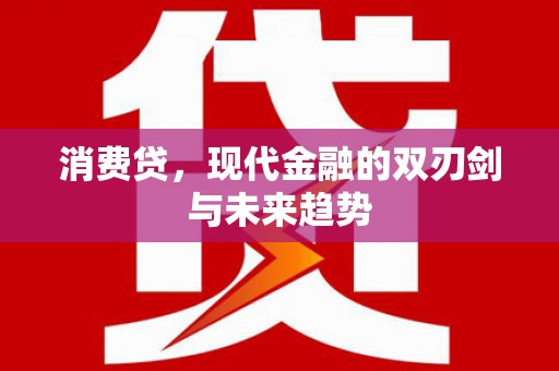 宁晋消费贷，现代金融的双刃剑与未来趋势