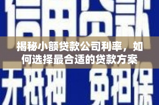 宁晋揭秘小额贷款公司利率，如何选择最合适的贷款方案