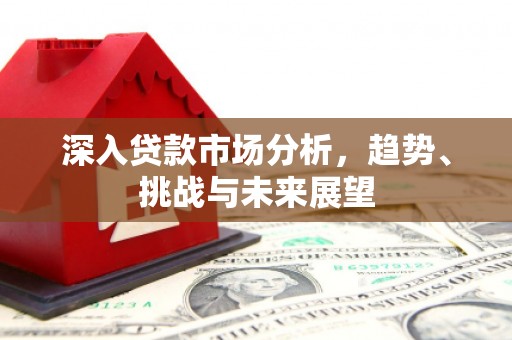宁晋深入贷款市场分析，趋势、挑战与未来展望