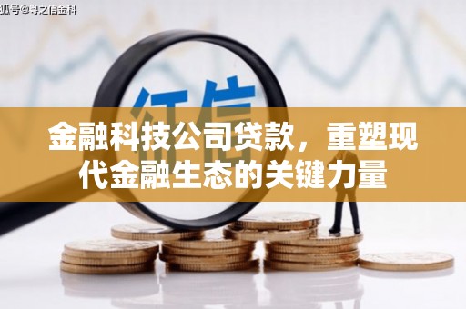 宁晋金融科技公司贷款，重塑现代金融生态的关键力量