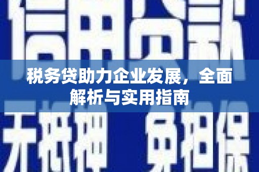 宁晋税务贷助力企业发展，全面解析与实用指南