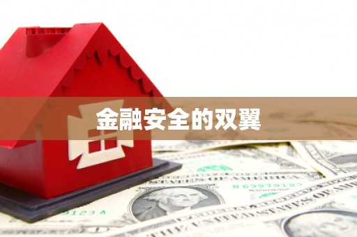 宁晋金融安全的双翼