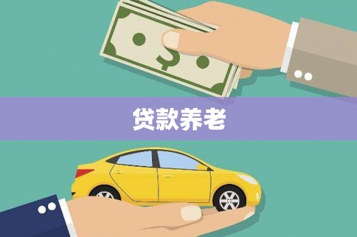 宁晋贷款养老