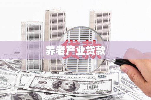 宁晋养老产业贷款