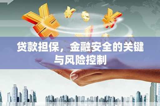 宁晋贷款担保，金融安全的关键与风险控制