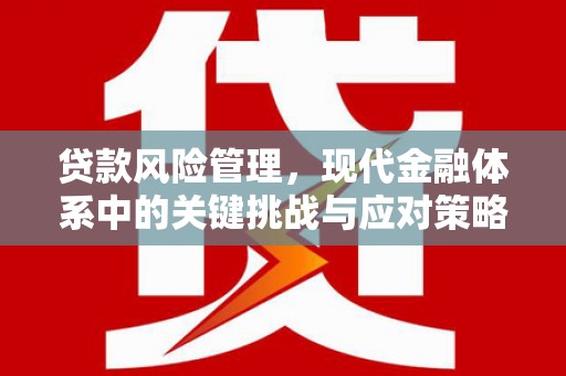 宁晋贷款风险管理，现代金融体系中的关键挑战与应对策略