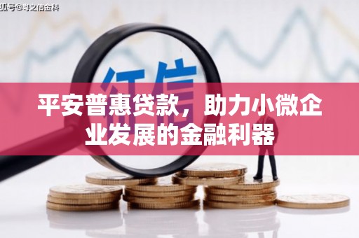 宁晋平安普惠贷款，助力小微企业发展的金融利器