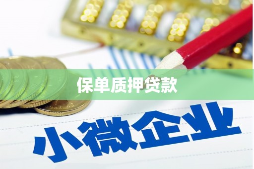 宁晋保单质押贷款