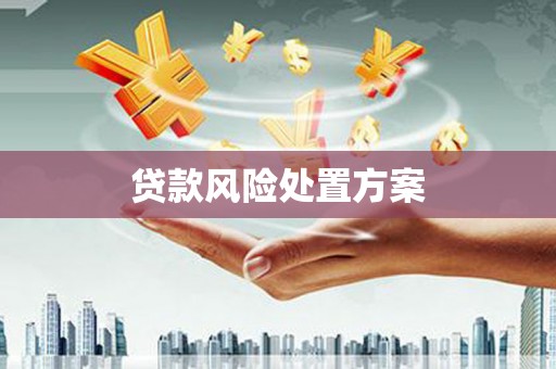 宁晋贷款风险处置方案
