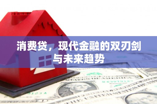 宁晋消费贷，现代金融的双刃剑与未来趋势