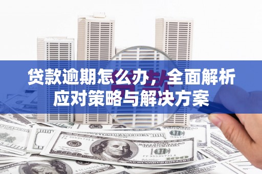 宁晋贷款逾期怎么办，全面解析应对策略与解决方案