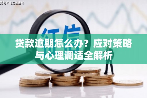 宁晋贷款逾期怎么办？应对策略与心理调适全解析