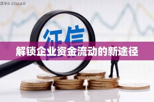 宁晋解锁企业资金流动的新途径