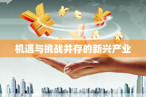 宁晋机遇与挑战并存的新兴产业