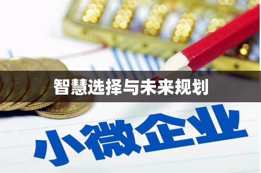 宁晋智慧选择与未来规划