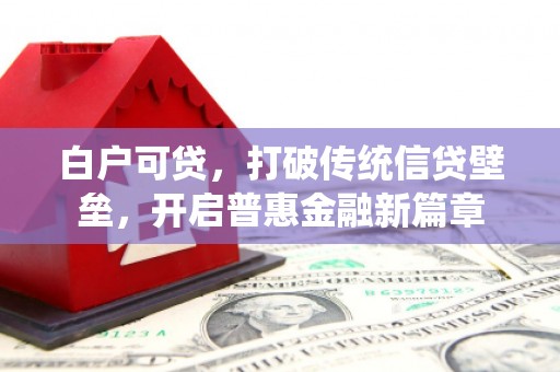 宁晋白户可贷，打破传统信贷壁垒，开启普惠金融新篇章