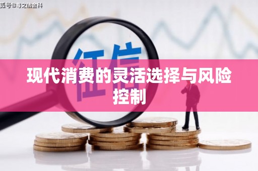 宁晋现代消费的灵活选择与风险控制