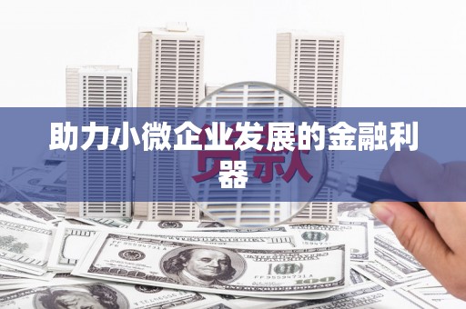 宁晋助力小微企业发展的金融利器