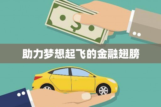 宁晋助力梦想起飞的金融翅膀