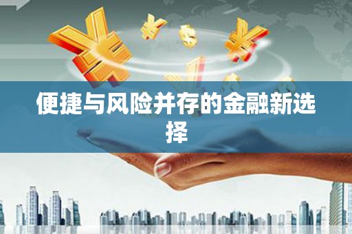 宁晋便捷与风险并存的金融新选择