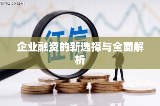 宁晋企业融资的新选择与全面解析