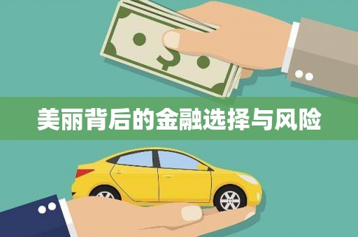 宁晋美丽背后的金融选择与风险
