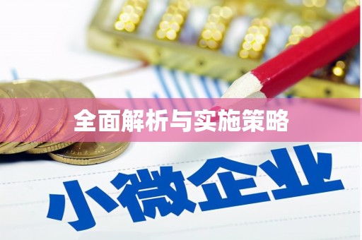 宁晋全面解析与实施策略