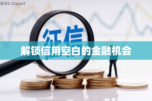 宁晋解锁信用空白的金融机会