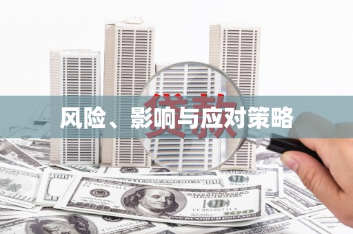 宁晋风险、影响与应对策略